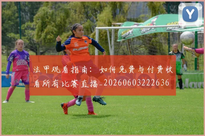 法甲观看指南：如何免费与付费收看所有比赛直播_20260603222636