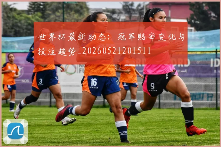 世界杯最新动态:冠军赔率变化与投注趋势_20260521201511